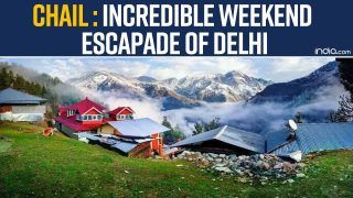 Chail in Himachal Pradesh is a Quick Offbeat Weekend Getaway From Delhi NCR to Help You Find Peace | Watch Video