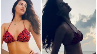 Disha Patani in Hot Leopard Print Bikini Exudes Sultriness, See Throwback Vacation Pics