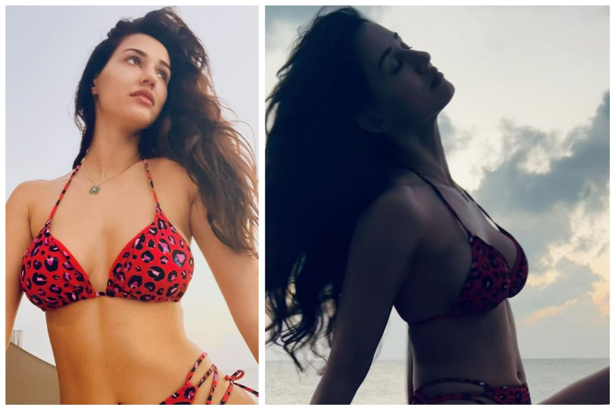 Disha Patani in Hot Leopard Print Bikini Exudes Sultriness See Throwback Vacation Pics picture pic