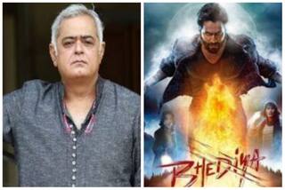 Hansal Mehta Slams Netizen Calling Varun Dhawan's Bhediya a Box Office Failure