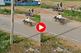 Viral Video Today: छत से कूदकर बाइक सवार पर टूट पड़ा तेंदुआ, पकड़ने गए शख्स को भी रडार पर ले लिया- देखें वीडियो