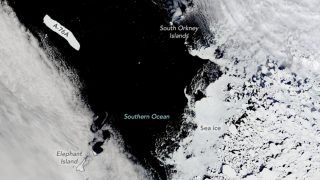 World's Biggest Iceberg Is Drifting To Its End; NASA Share Satellite Image