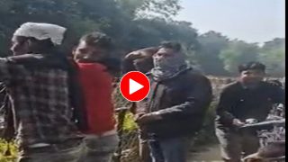 Viral Video: बाघ के बाड़े में पत्थर फेंककर हंसते हैं कुछ बदमाश, रवीना टंडन ने उठाया मुद्दा तो एक्शन में आए अधिकारी- देखें वीडियो