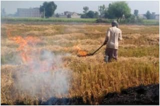 Delhi Air Pollution Highlights: AQI Is Back To 'Very Poor' As Punjab Records Highest Single-Day Farm Fires