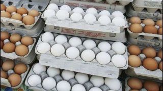 THIS State In India Is Facing Shortage Of 1 Crore Eggs Per Day
