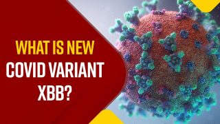 New Covid Variant: What Is XBB Variant Of Coronavirus? How Severe Is It? All You Need To Know - Watch Video