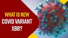 New Covid Variant: What Is XBB Variant Of Coronavirus? How Severe Is It? All You Need To Know - Watch Video