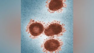 Zombie Virus: रूस में वैज्ञानिकों ने 48,500 साल पुराने जॉम्बी वायरस को फिर से जिंदा किया, बड़ी महामारी की आशंका