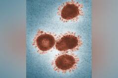 Zombie Virus: रूस में वैज्ञानिकों ने 48,500 साल पुराने जॉम्बी वायरस को फिर से जिंदा किया, बड़ी महामारी की आशंका