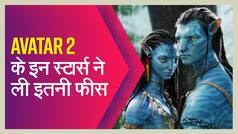 विन डीजल से लेकर केट विंसलेट तक, जानिए अवतार 2 के किन एक्टर्स ने ली कितनी फीस | Watch Video