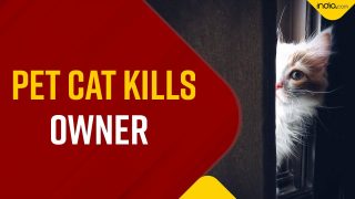Man Dies Four Years After Being Bitten By Pet Cat | Watch Video
