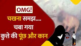 india.com top news