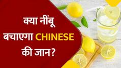 Lemon Shortage In China: चीन में अचानक नींबू की क्यों बढ़ी डिमांड? क्या नींबू कोरोना के नए वेरिएंट BF.7 को हरा पाएगा? | Watch Video