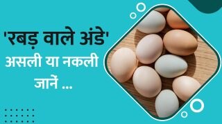 बाजार में आया 'रबड़ वाला अंडा', हो जाएं सावधान, वीडियो में जानें कैसे होगा पहचान | Watch Video