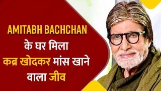 Kabra Bijju: महानायक अमिताभ बच्चन के घर से मिला खतरनाक जानवर, कब्र खोदकर निकालता है हड्डियां, नाम है कब्र बिज्जू | Watch Video