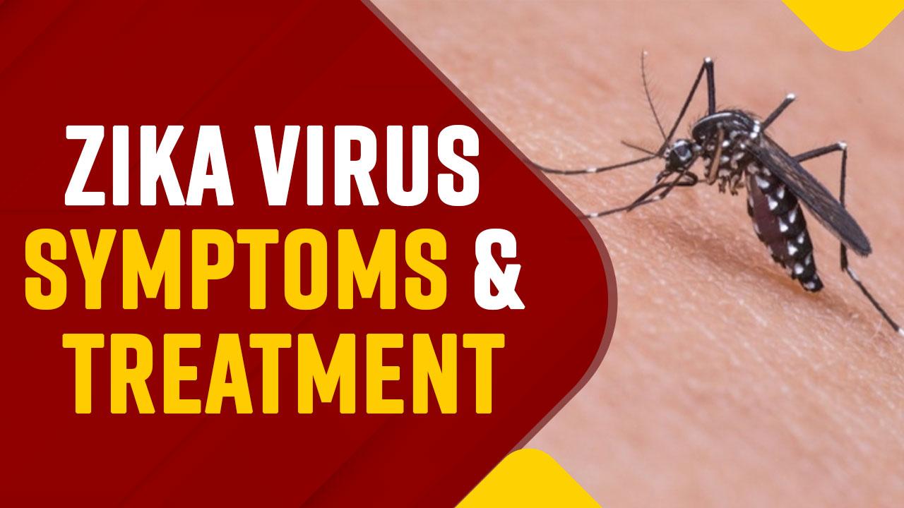 First Case Of Zika Virus Detected In Karnataka, Know Causes, Symptoms And Treatment | Watch Video