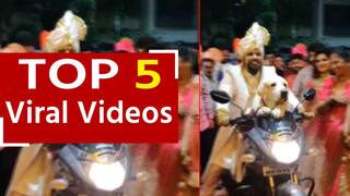 Viral Video: दूल्हे ने बाइक पर डॉगी के साथ ली धमाकेदार एंट्री, नजारा देख ससुराल वाले हैरान रह गए | Watch Video