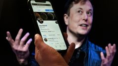 Elon Musk: ट्विटर के सीईओ एलन मस्क बोले- विज्ञान का पालन करेगी ट्विटर की नई नीति