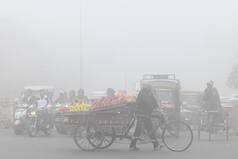 Dense Fog To Stay Till Jan 5, Winter May Peak After Jan 1 In Delhi, North India | IMD Forecast Here