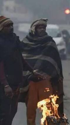 IMD Alert: Severe Cold Wave, Dense Fog To Blanket 4 States; Heavy Rainfall To Lash 3 Places Till Monday