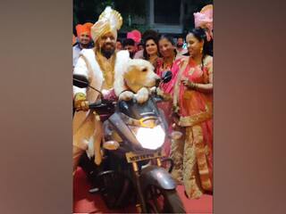 Groom Enters Wedding On Bike With Pet Dog, Melts Hearts Online. Watch Viral Video