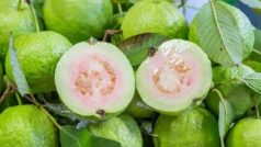 Side Effect of Guava: इन लोगों के लिए नुकसानदेह साबित हो सकता है अमरुद, खाने से पहले जान लें