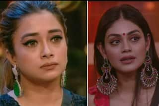 Bigg Boss 16: Tina Datta Broke Many Marriages, Sreejita De Makes SHOCKING Claims