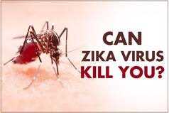 Can Zika Virus Kill You? 4 Rare Conditions it Can Cause in Infected People