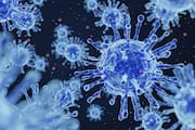 Coronavirus: कोरोनाव्हायरसच्या नव्या व्हेरिएंटचा भारताला किती धोका? ही लक्षणे दिसताच व्हा सावध