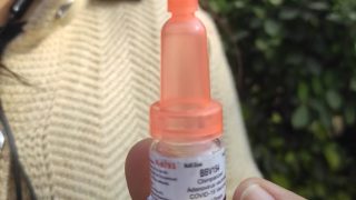 COVID Nasal Vaccine Cannot be Taken After Booster Shot: COVID Panel Chief NK Arora