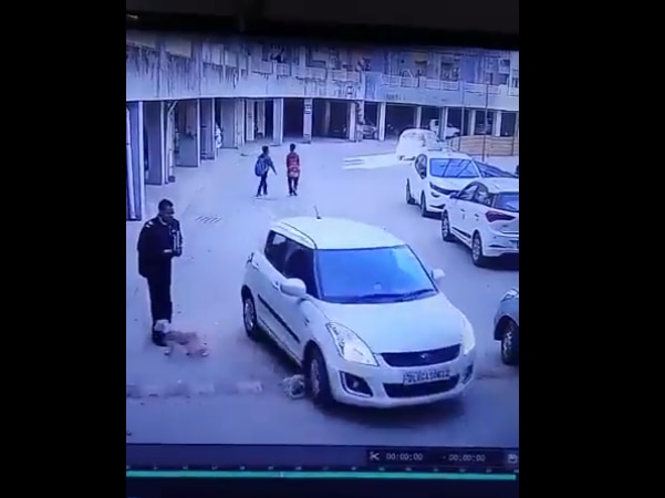 Caught On CCTV: Puppy Dies After Being Run Over By Car In Ghaziabad; Driver Arrested