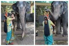 VIRAL VIDEO: Temple Elephant Blesses Young Girl With Its Trunk As She Offers Her Namaskar
