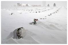 Bomb Cyclone Hits USA, Temperature Drops To Minus 45 Degrees; Joe Biden Issues Appeal To Americans