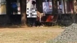 Disgusting! Man Arrested For Trying To Rape Stray Dog In Nagpur; Video Goes Viral