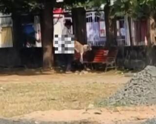 Disgusting! Man Arrested For Trying To Rape Stray Dog In Nagpur; Video Goes Viral