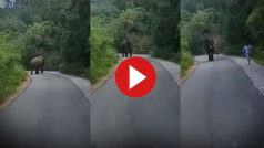 Hathi Ka Video: शख्स को घने जंगल में गुस्सैल हाथी ने दौड़ा लिया, फिर जो हुआ हिल ही जाएंगे- देखें वीडियो
