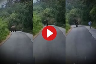 Hathi Ka Video: शख्स को घने जंगल में गुस्सैल हाथी ने दौड़ा लिया, फिर जो हुआ हिल ही जाएंगे- देखें वीडियो