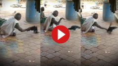 Murgi Chor Ka Video: चाचाजी ने गोली की स्पीड से चुरा ली मुर्गी, तरीका देख आंखें फटी रह जाएंगी- देखें वीडियो