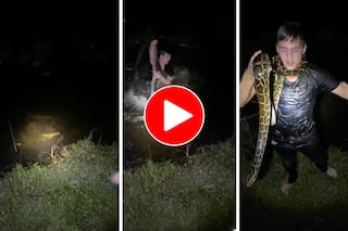 Azgar Ka Video: नदी में घुस रहा था अजगर तभी शख्स ने भी लगा दी छलांग, फिर जो हुआ हिल ही जाएंगे- देखें वीडियो