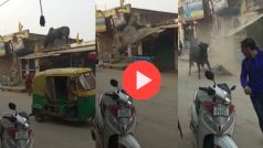 Viral Video Today: छत पर चढ़ तो गया मगर उतरना भूल गया सांड, फिर ऐसी छलांग लगाई हिल जाएंगे- देखें वीडियो
