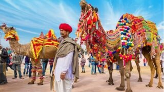 Bikaner Camel Festival 2023: From Beauty Pageant To Dance, Annual Celebration Of Ship Of The Desert Is Here. Details Inside