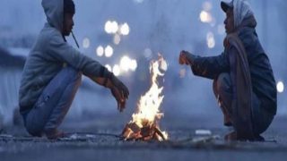 IMD Alert: ठंडी हवाओं ने बढ़ाई कनकनी, गिरा तापमान, पांच राज्यों में शीतलहर का अलर्ट, जानें मौसम का मिजाज