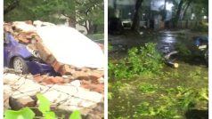 Cyclone Mandous ने मचाई बड़ी तबाही, तेज हवाओं के साथ भारी बारिश, गिरी दीवार-उखड़े पेड़-देखें तस्वीरें