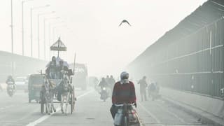 Brutal Cold Wave Sweeps Delhi-NCR, Temperature Drops To 2.8 Degrees In National Capital