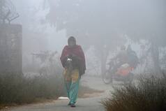 Fog Blankets Over Delhi, Punjab, UP And Bihar; Low Visibility Reported In THESE Places. Latest Forecast Here