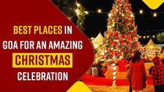 Christmas 2022: Want To Witness An Amazing Christmas Celebration? Do Visit These Places In Goa - Watch Video