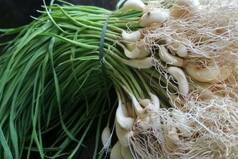 Garlic Leaf Benefits: जाड़े में जरूर खाएं हरी लहसुन की पत्तियां, कई बीमारियों का है रामबाण इलाज-PICS