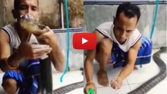 Sanp Ka Video: किंग कोबरा को पकड़ा और रगड़-रगड़कर शैंपू से नहला दिया, आखिर में जो हुआ चौंक ही जाएंगे | देखें ये वीडियो