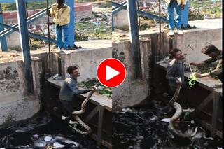 Azgar Ka Video: हाथ डालकर नाले से अजगर निकाल लाया शख्स, फिर रस्सी मंगाकर जो किया सोच नहीं सकते- देखें वीडियो