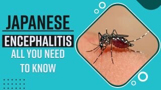 Japanese Encephalitis: Symptoms, Causes And Treatment, All You Need To Know - Watch Video